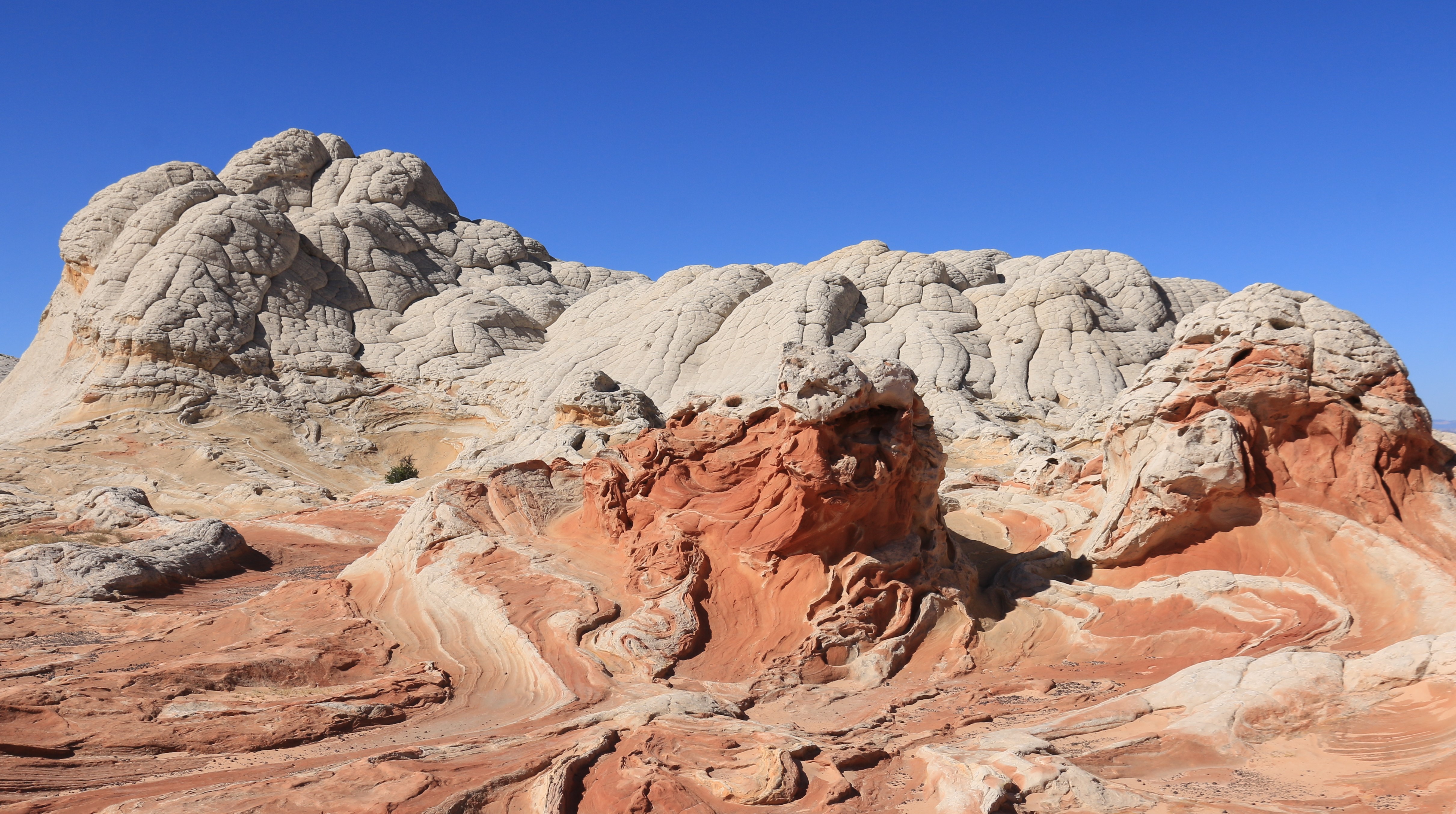 Vermillion Cliffs NM